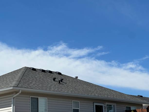 Best Emergency Roof Repair Services  in Nelsonville, OH